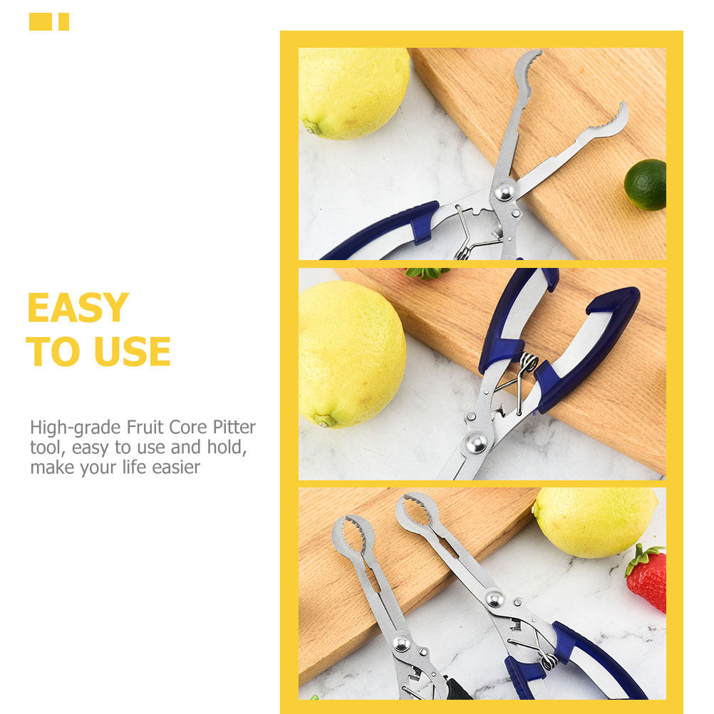 Hawthorn Core Remover Tool Dra - Kitchen Gadgets & Toys recensie en prijs